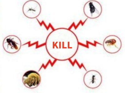 What is the effect of Prallethrin, what are the precautions