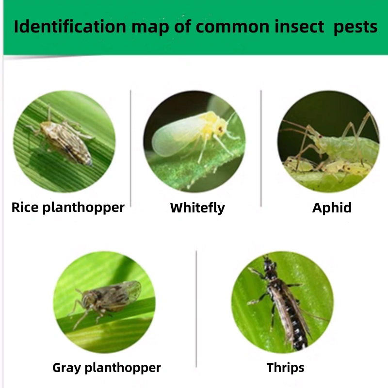 What is the main pest control of pyriproxyfen? How to use it?