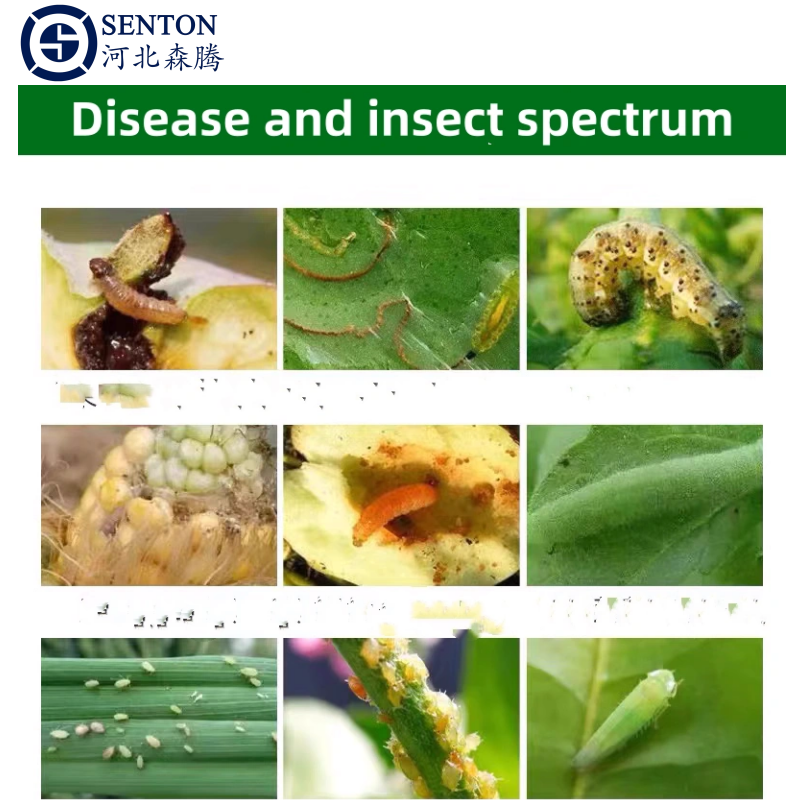 Action and efficacy of deltamethrin