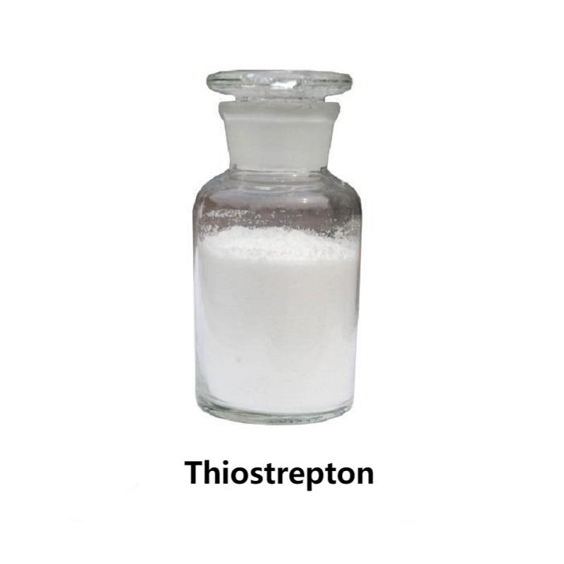 Thiostrepton High Quality 99% CAS No 1393-48-2