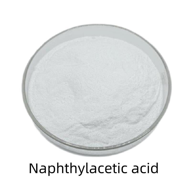 Plant Growth Regulator Naa 1-Naphthylacetic Acid