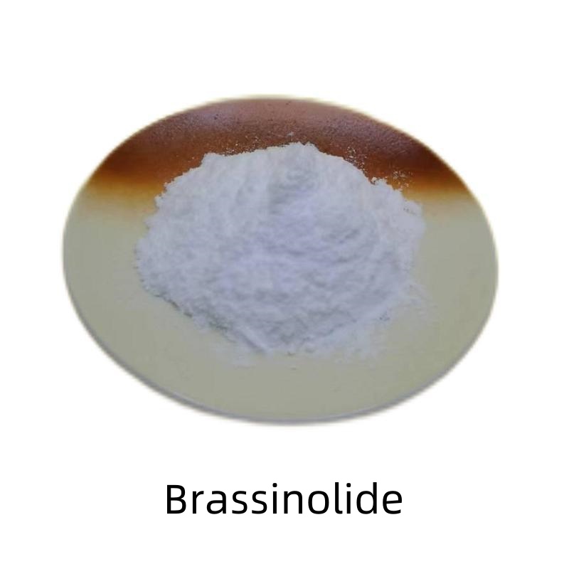 Best Selling Brassinolide in Agriculture CAS 72962-43-7