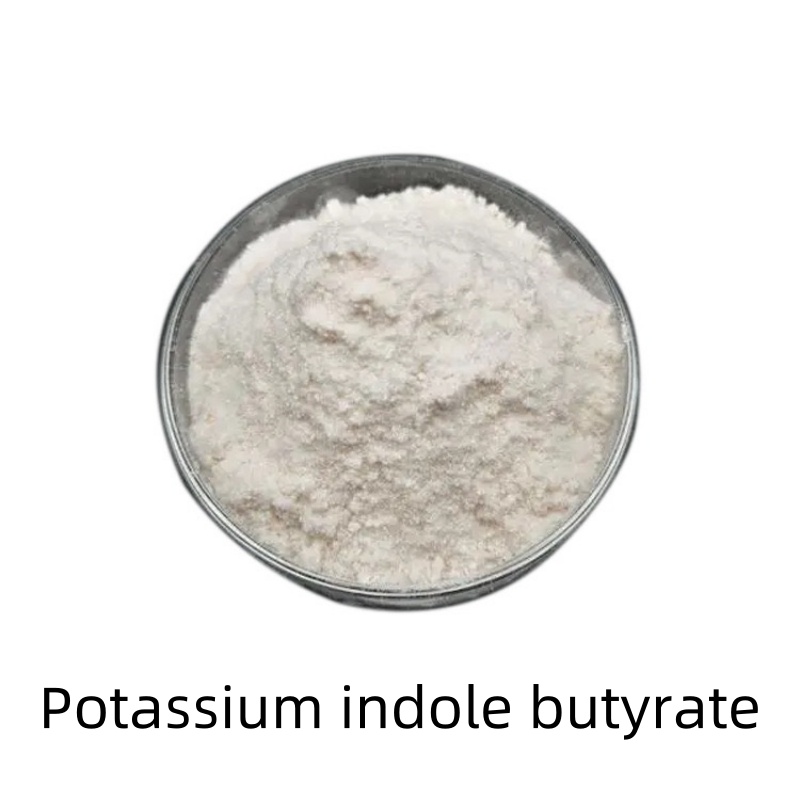 Plant Growth Promoter Iba Indole-3-Butyric Acid 98%Tc CAS 133-32-4