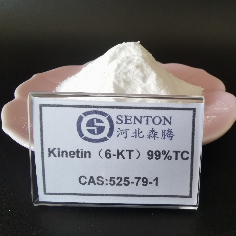 6-KT Kinetin 98% Tc Plant Growth Regulator