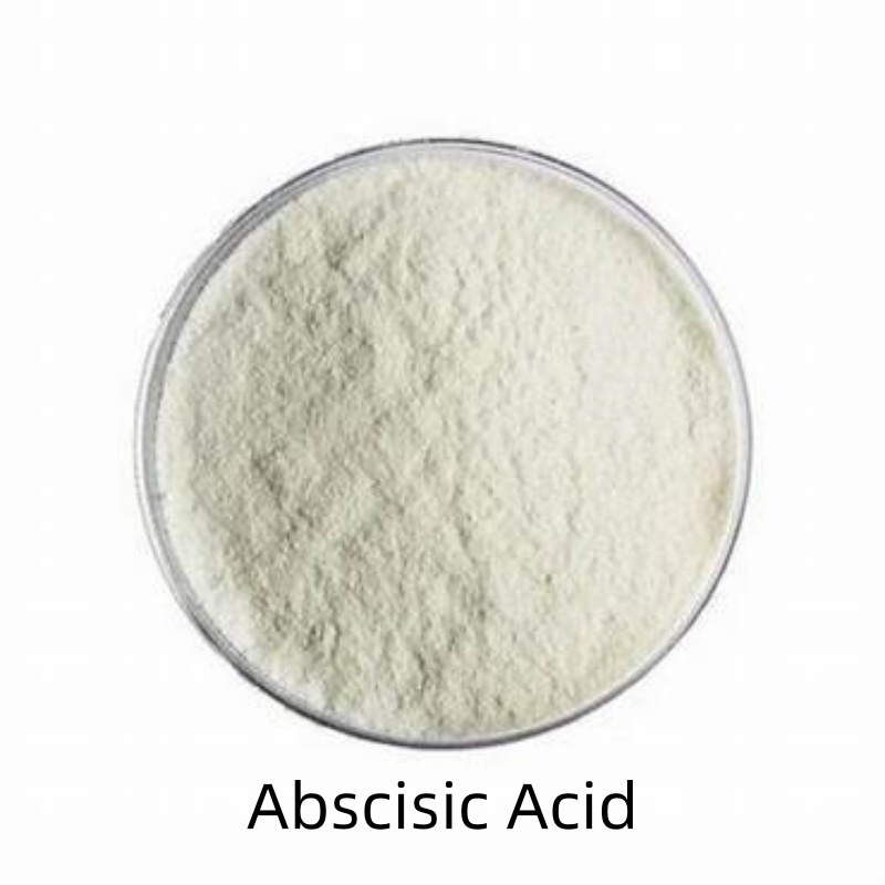 Abscisic Acid 90% Tc Plant Hormone