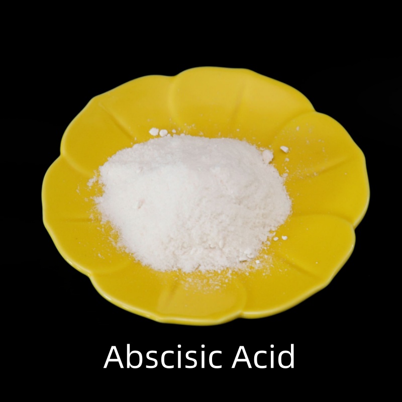 Abscisic Acid 90% Tc Plant Hormone