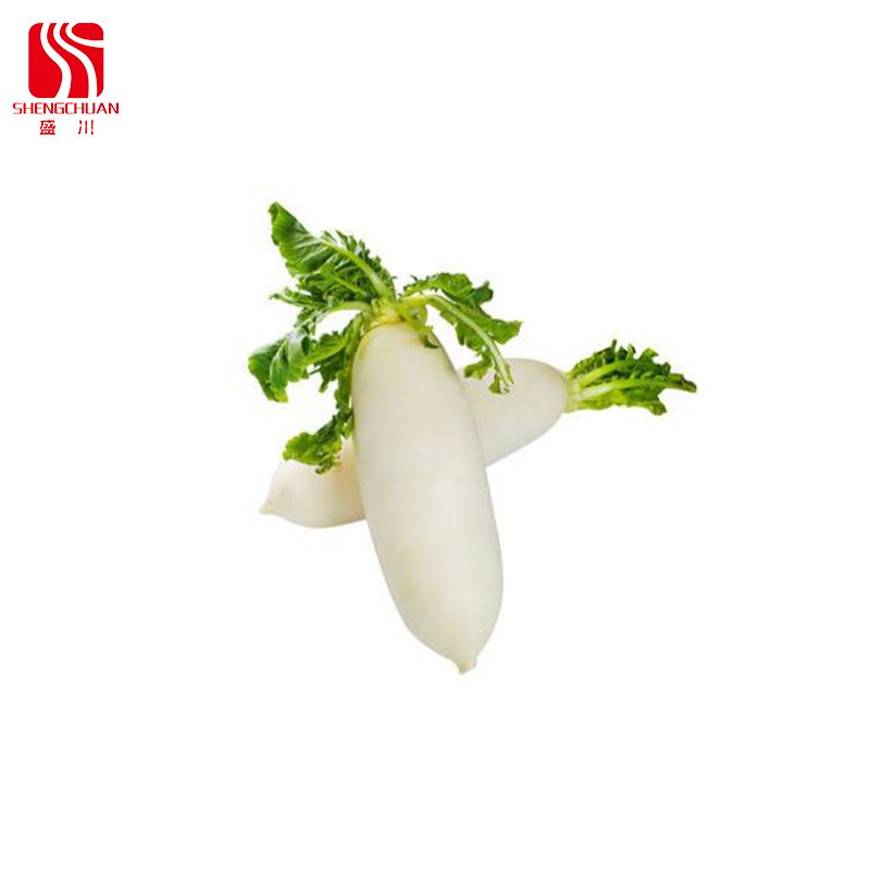 White Radish