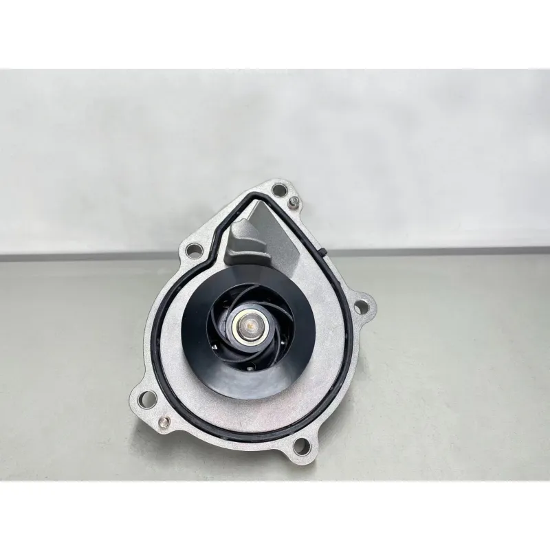 Electric Water Pump Series Exporter