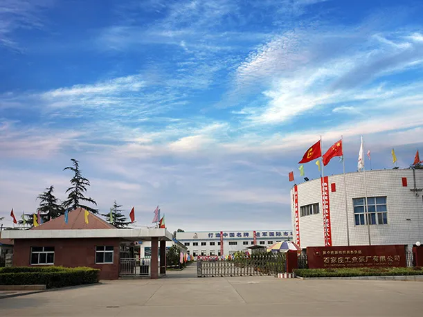 Fábrica Co., Ltd. de la bomba industrial de Shijiazhuang