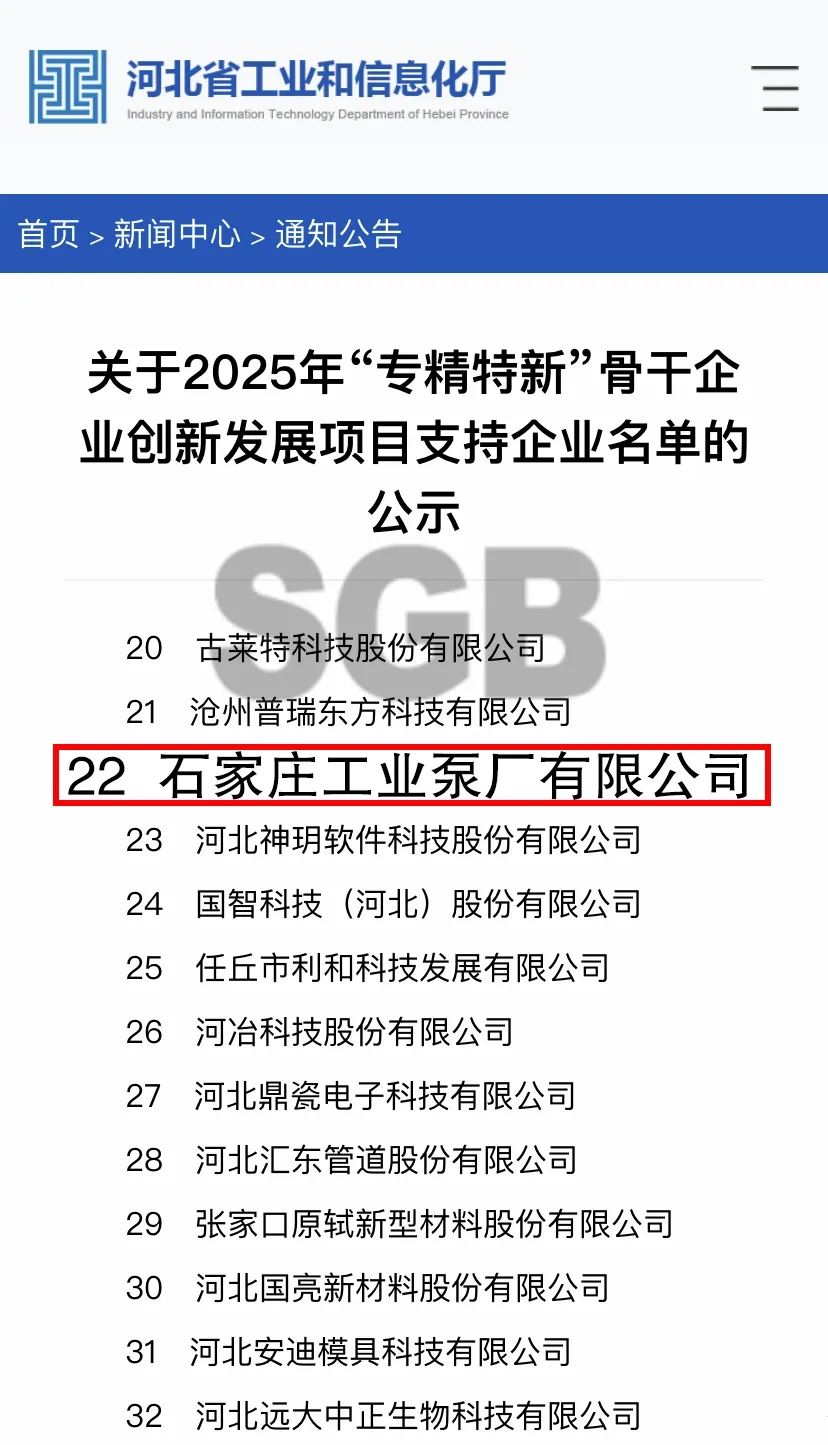 DT Series FGD Slurry Recirculation Pump