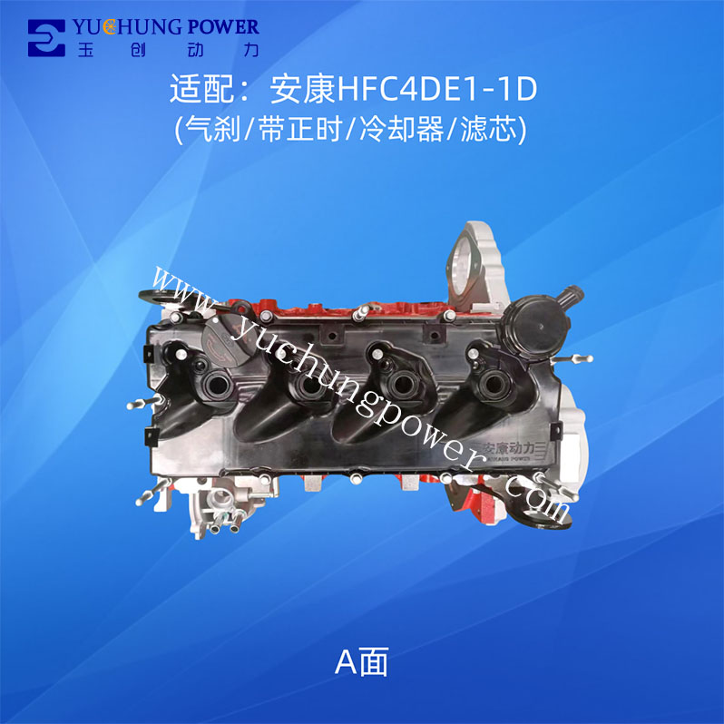 Long Block Assembly JAC T6 T8 Sunray HFC4DE1-1D