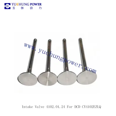Intake Valve 4102.01.24 For DCD CY4102EZLQ
