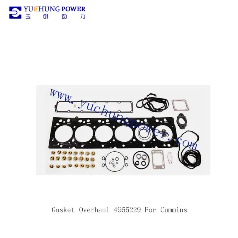Gasket Overhaul 4955229 For Cummins