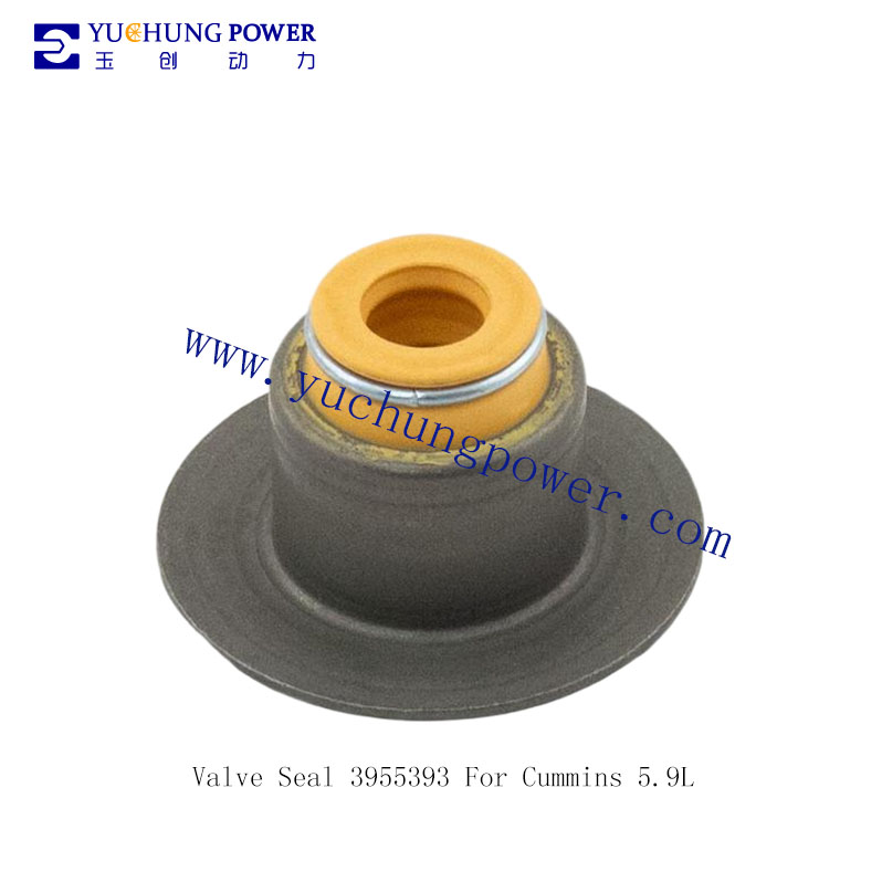 Valve Seal 3955393 For Cummins 5.9L