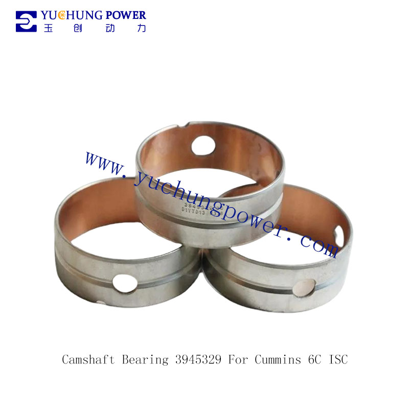 Camshaft Bearing 3945329 For Cummins 6C ISC