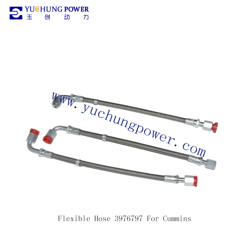 Flexible Hose 3976797 For Cummins