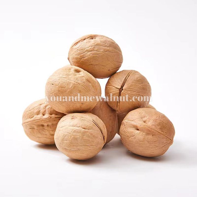 33 Walnut In Shell