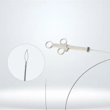 Disposable polypectomy snare