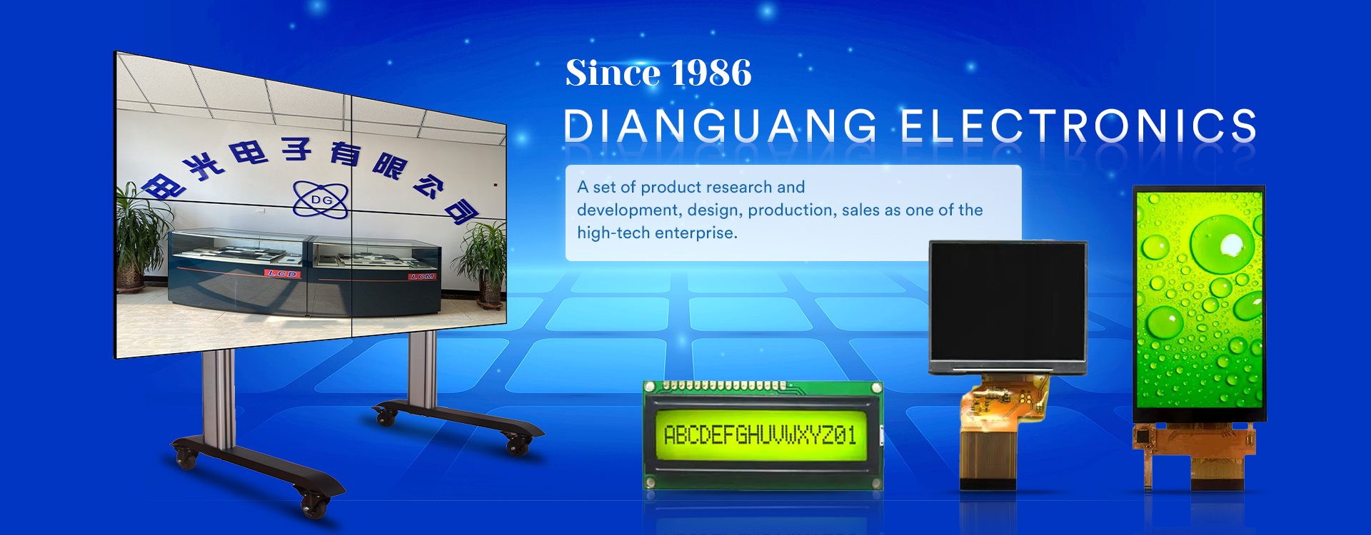 Dianguang Electronics Co., Ltd.