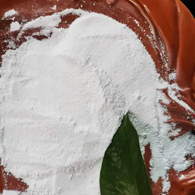 Manufacturer USP FCC Grade White Powder High Purity Magnesium Hydroxide