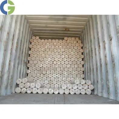 Galvanized Welded Mesh Panels/Sheets or Rolls