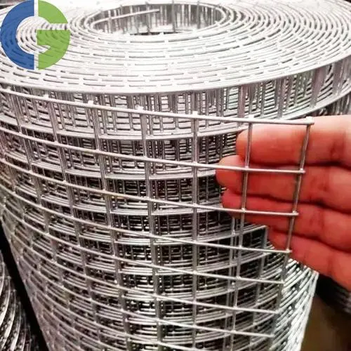 Hot Dipped/Electro Galvanized Welded Mesh Panels/Sheets or Rolls