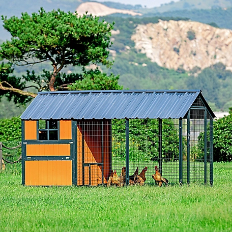 The cost of chicken coop
