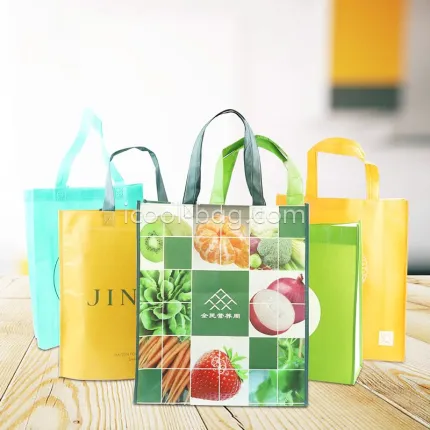 Eco Friendly Reusable Recycle Shopping Tote Bag
