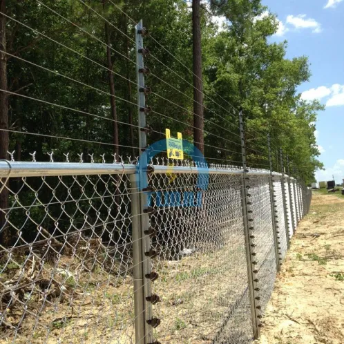 Hàng rào điện cho an ninh thương mại