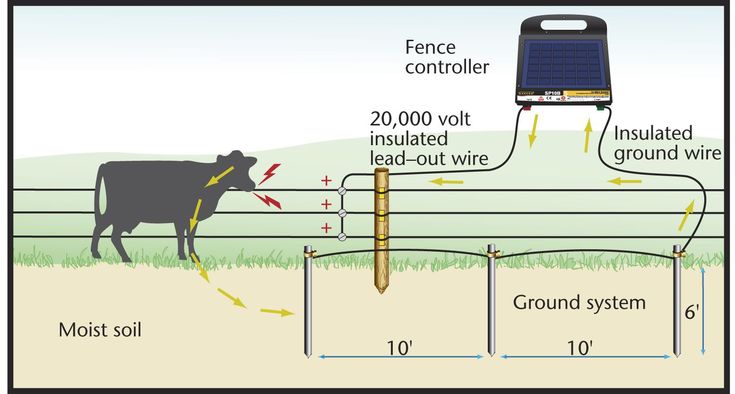 Do You Understand Electronic Fencing?