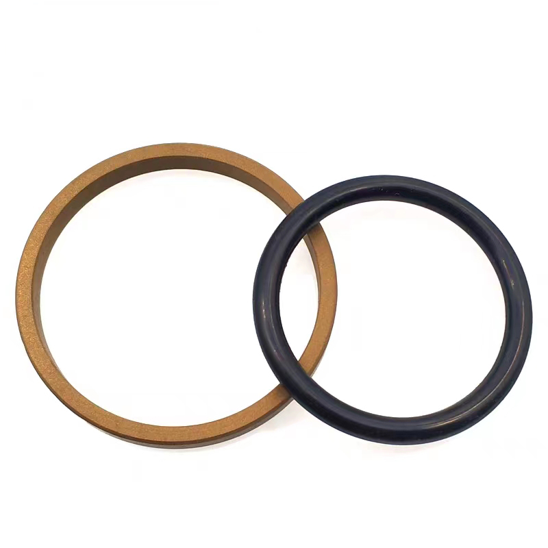 Glyd ring piston seal