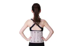 What are the Selection Elements of Waist Support Brace?