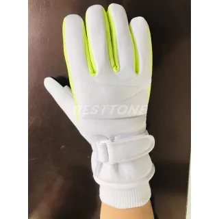 The Police glove