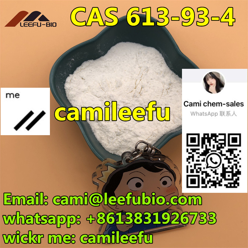 N-Methylbenzamide CAS 613-93-4 white powder