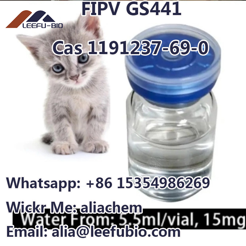 fipv gs441 cas 1191237-69-0 for Feline coronavirus powder pills