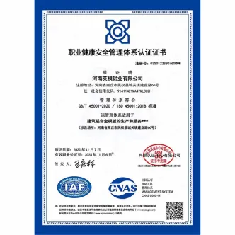 GBT 45001-2020_20221107162646中文证书