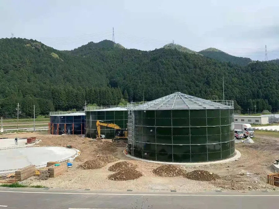 日本の水槽が完成に近づく