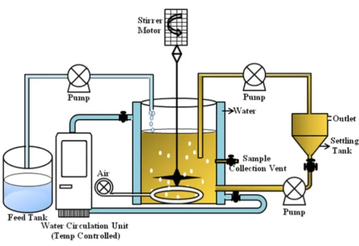 CSTR Process