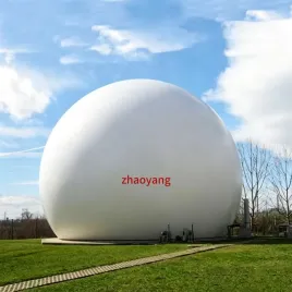 حامل غاز الغشاء