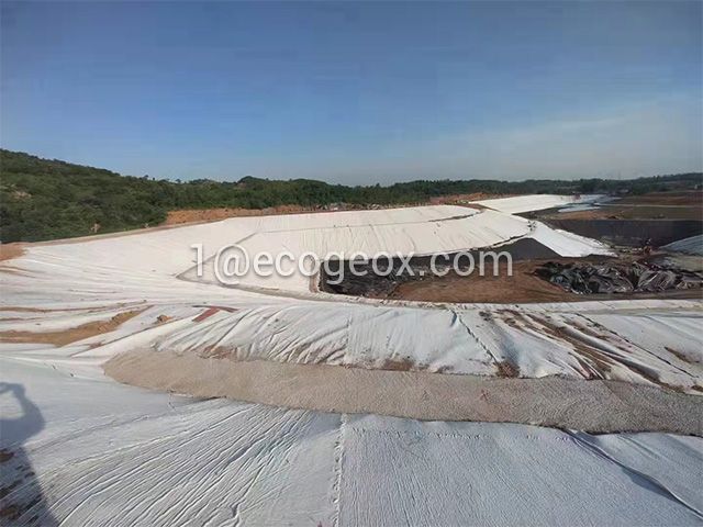 Geomembrane and Geotextile for Tailings Storage Facilities