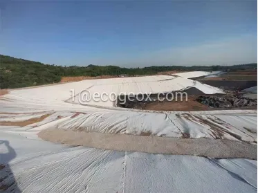 Geomembrane and Geotextile for Tailings storage facilities (TSFs) Project