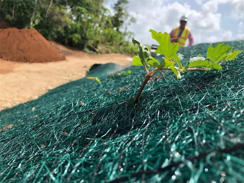 Application of Erosion Control Mat