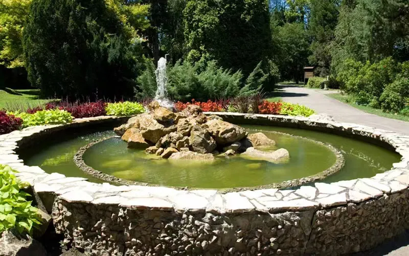 15 Unique Backyard Water Feature Design Ideas