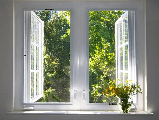 Commercial vs. Home Windows: Differences in Design and Function