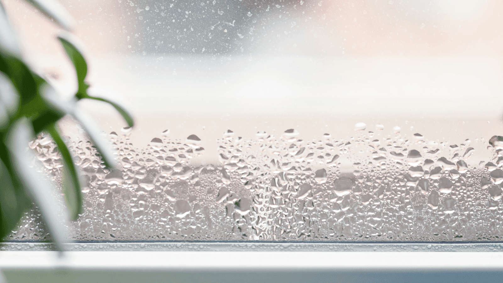 How to Prevent Condensation on Your Windows