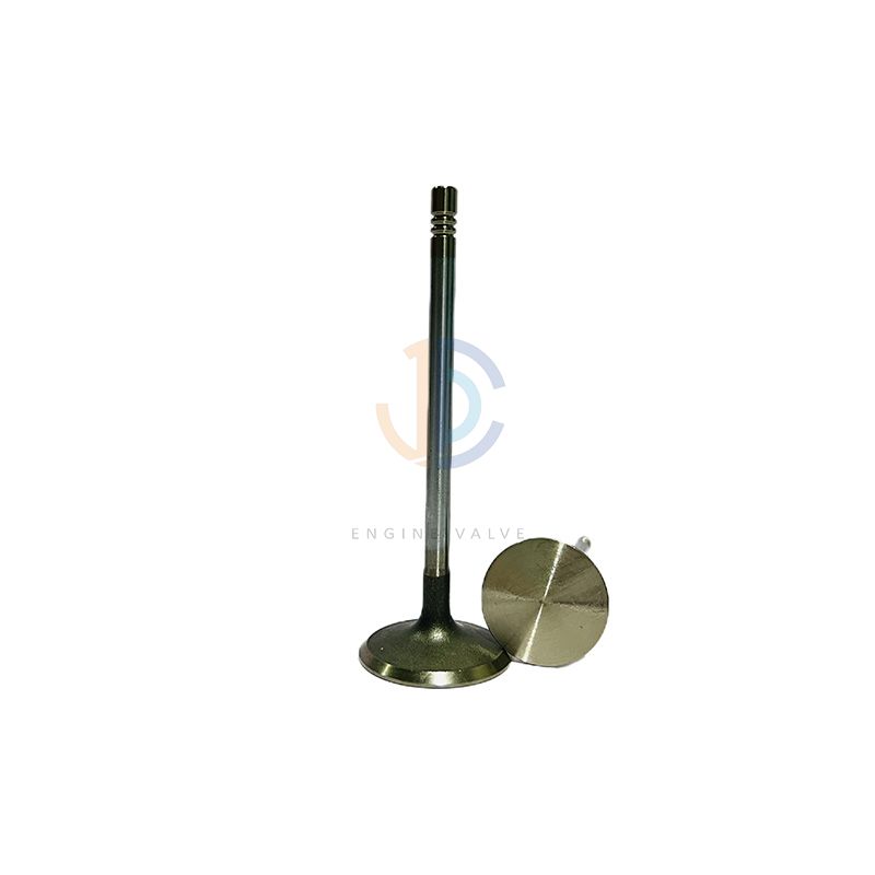 Engine Valves 12575354, 12620501