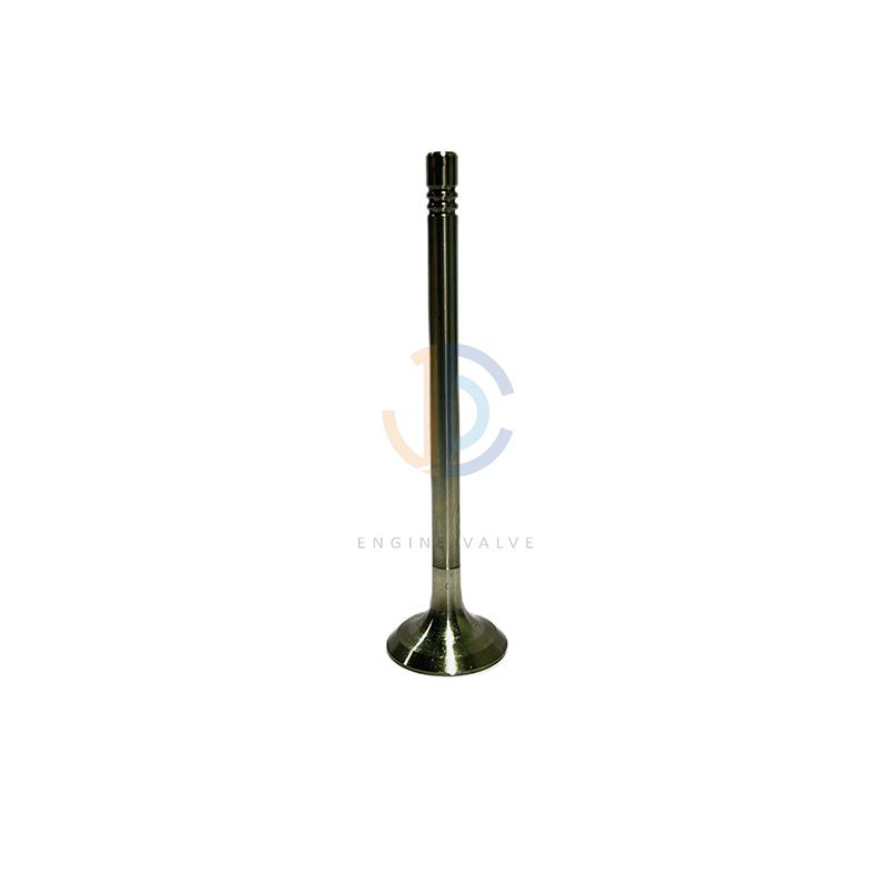 Audi Engine Valve (1.8T, 2.0T), OEM 06j 109 601 C