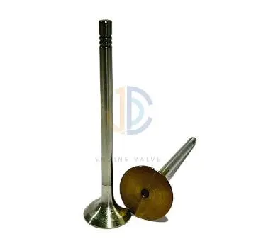 Exhaust Engine Valves