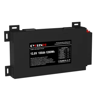 Batería de ciclo profundo LiFePO4 12V 100Ah con BMS