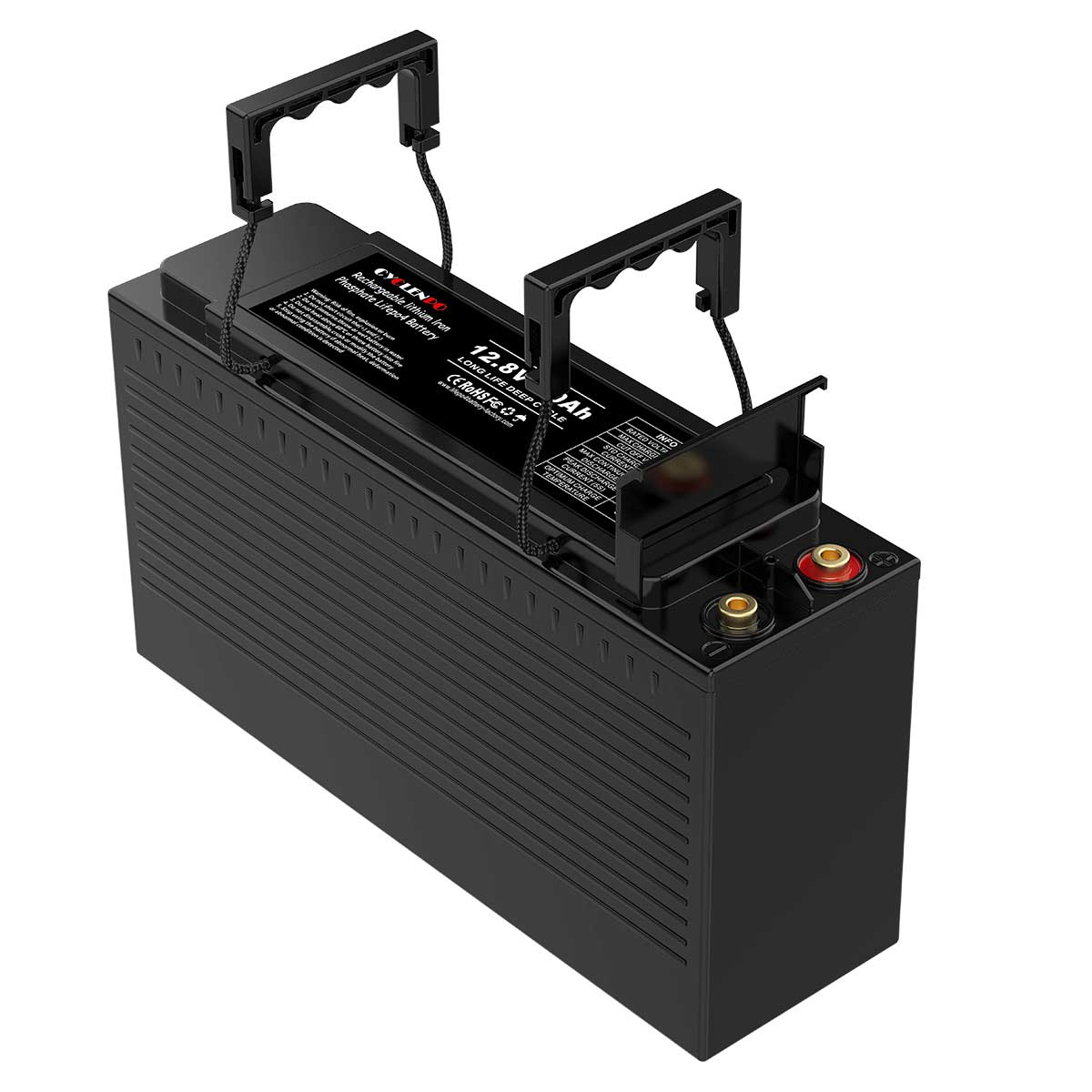 Batterie LiFePO4 12V 100Ah à décharge profonde avec BMS